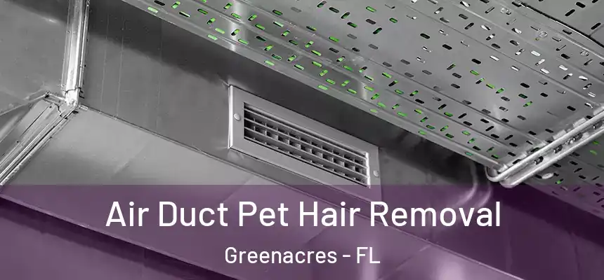 Air Duct Pet Hair Removal Greenacres - FL
