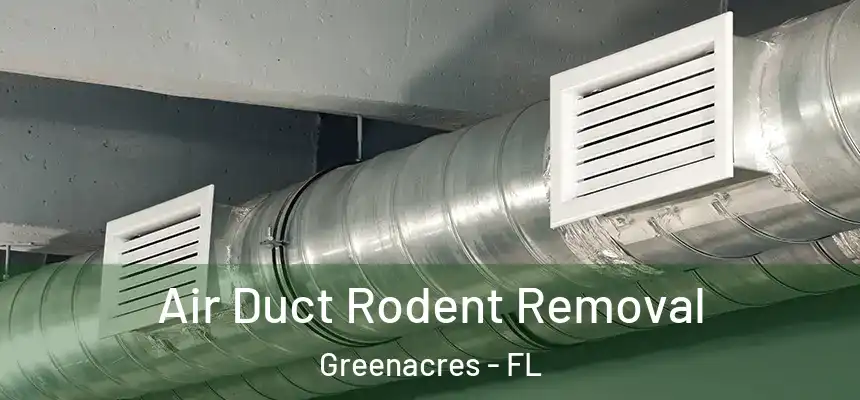 Air Duct Rodent Removal Greenacres - FL