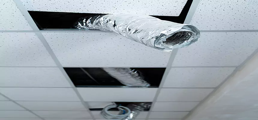 Our Air Duct Pet Hair Removal Services in Greenacres, FL