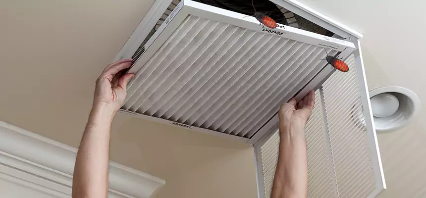 Our Insect Removal from Air Ducts Services in Greenacres, FL