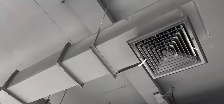 Our Rodent Droppings In Vents Services in Greenacres, FL