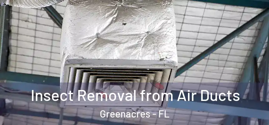 Insect Removal from Air Ducts Greenacres - FL
