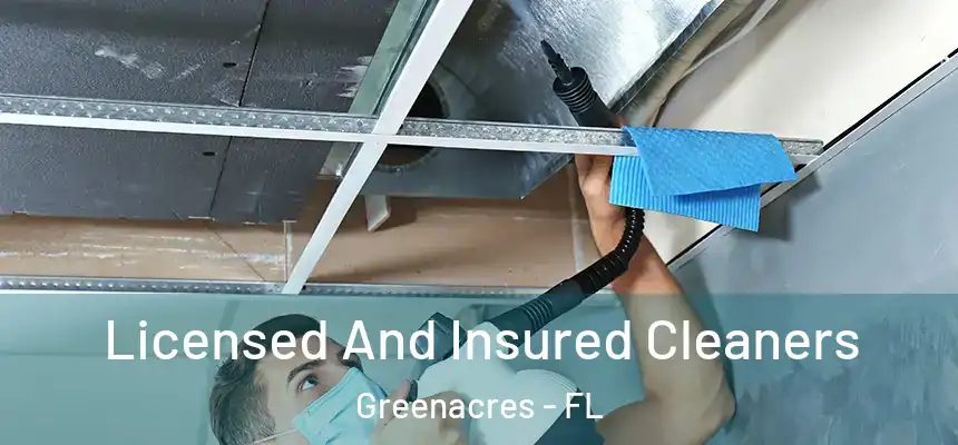 Licensed And Insured Cleaners Greenacres - FL