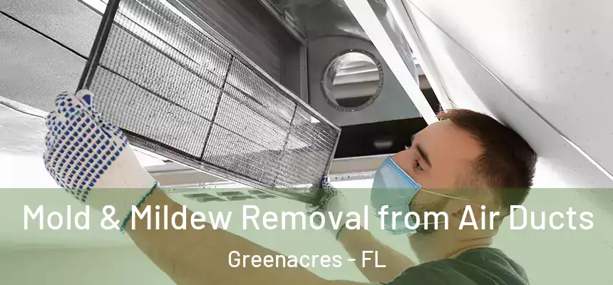 Mold & Mildew Removal from Air Ducts Greenacres - FL