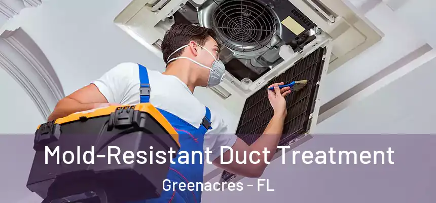  Mold-Resistant Duct Treatment Greenacres - FL