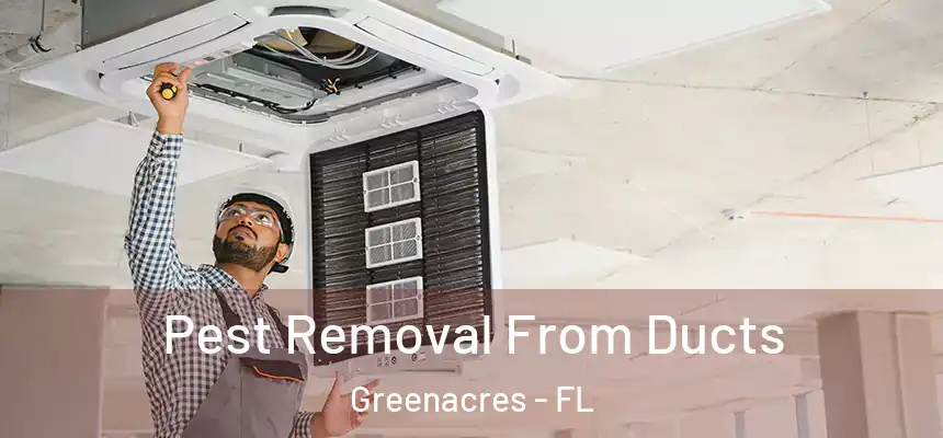 Pest Removal From Ducts Greenacres - FL