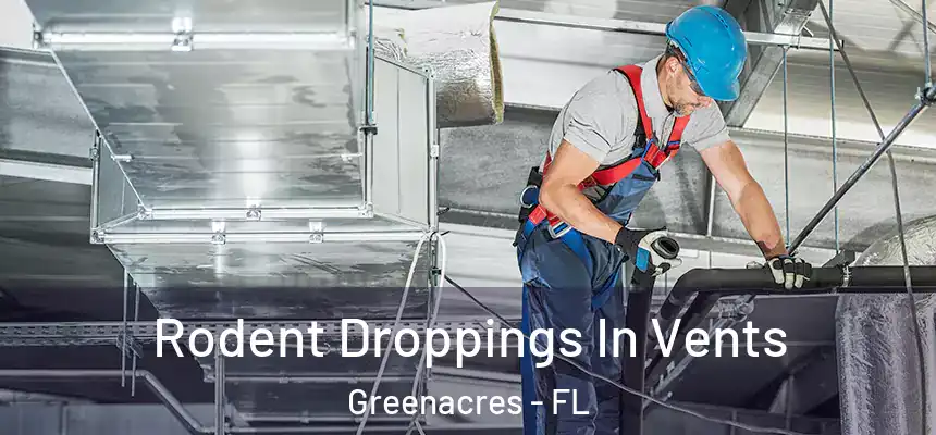 Rodent Droppings In Vents Greenacres - FL