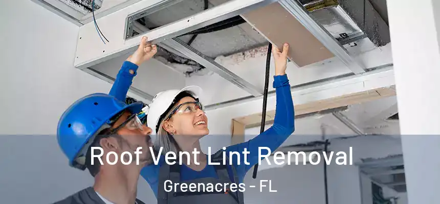 Roof Vent Lint Removal Greenacres - FL
