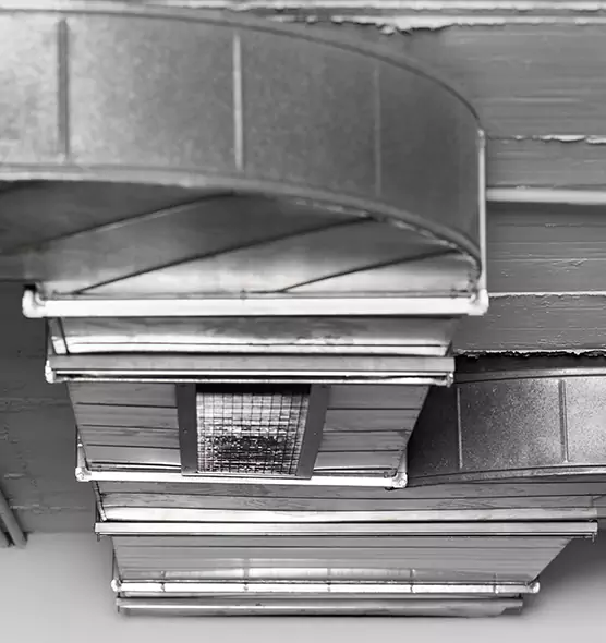 Professional Air Duct Pet Hair Removal in Greenacres, FL