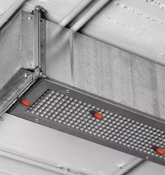 Affordable Insect Removal from Air Ducts in Greenacres, FL