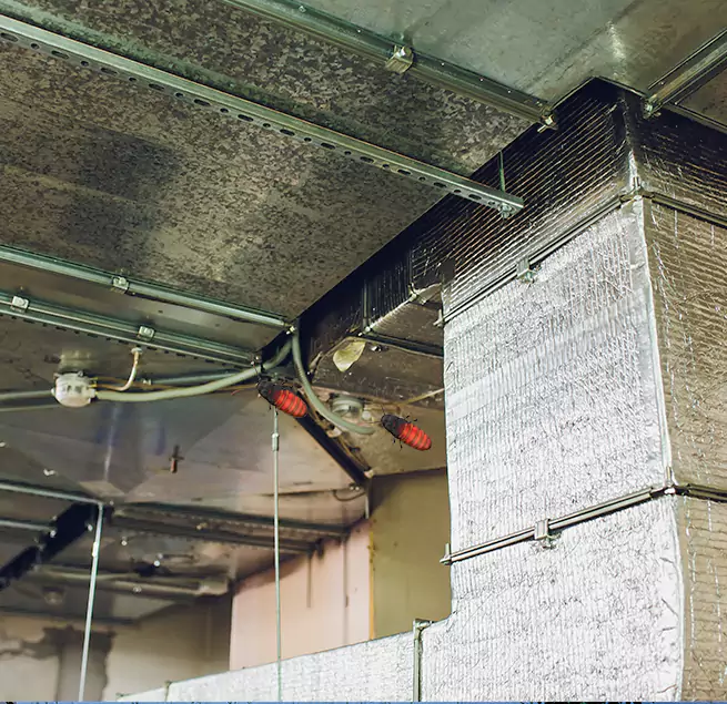 Why Homeowners & Businesses Trust Us in Greenacres, FL?