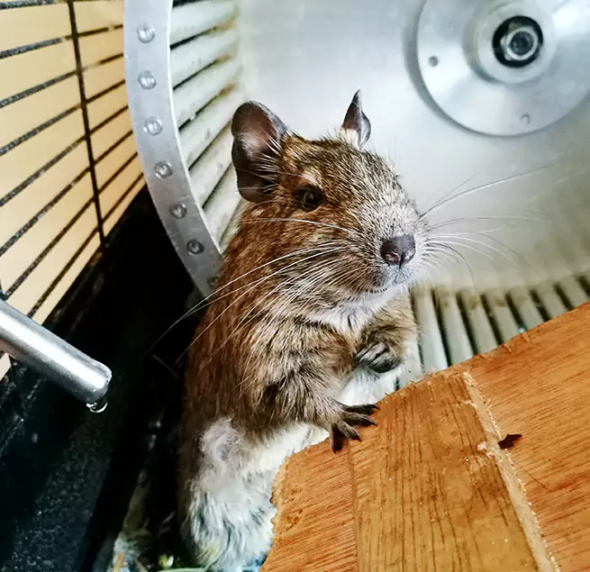 Why Homeowners & Businesses Trust Us Greenacres, FL?