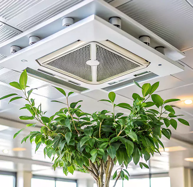 Why Homeowners & Businesses Trust Us in Greenacres, FL?