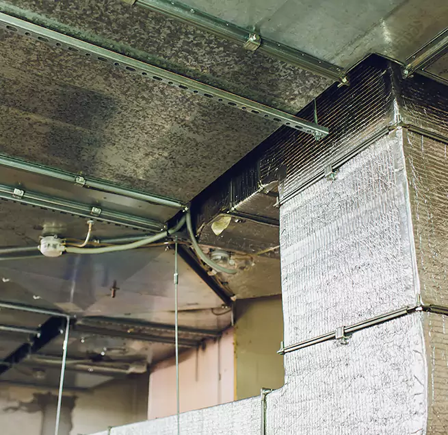 Why Homeowners & Businesses Trust Us in Greenacres, FL?